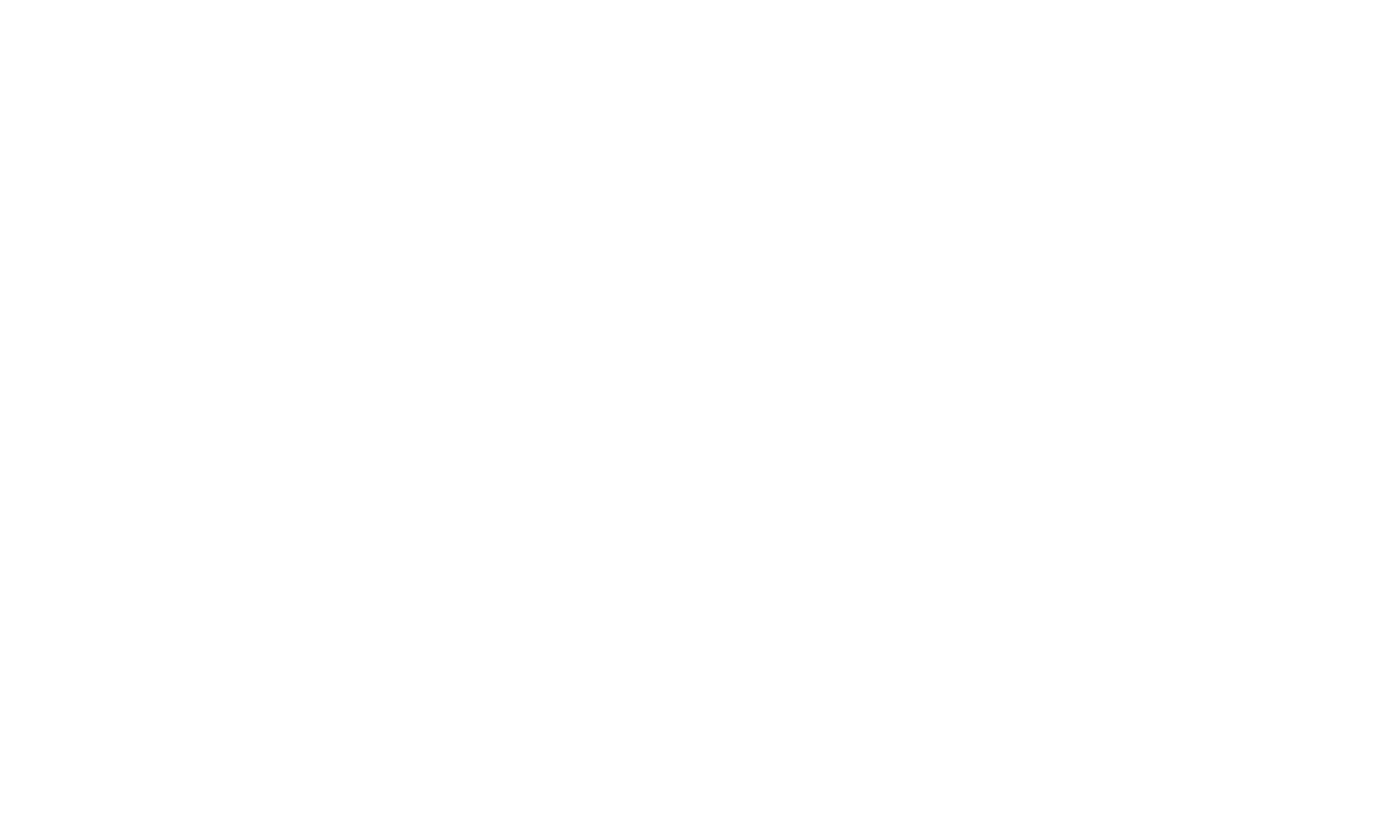 DWL Deutsche Waffen Logistik