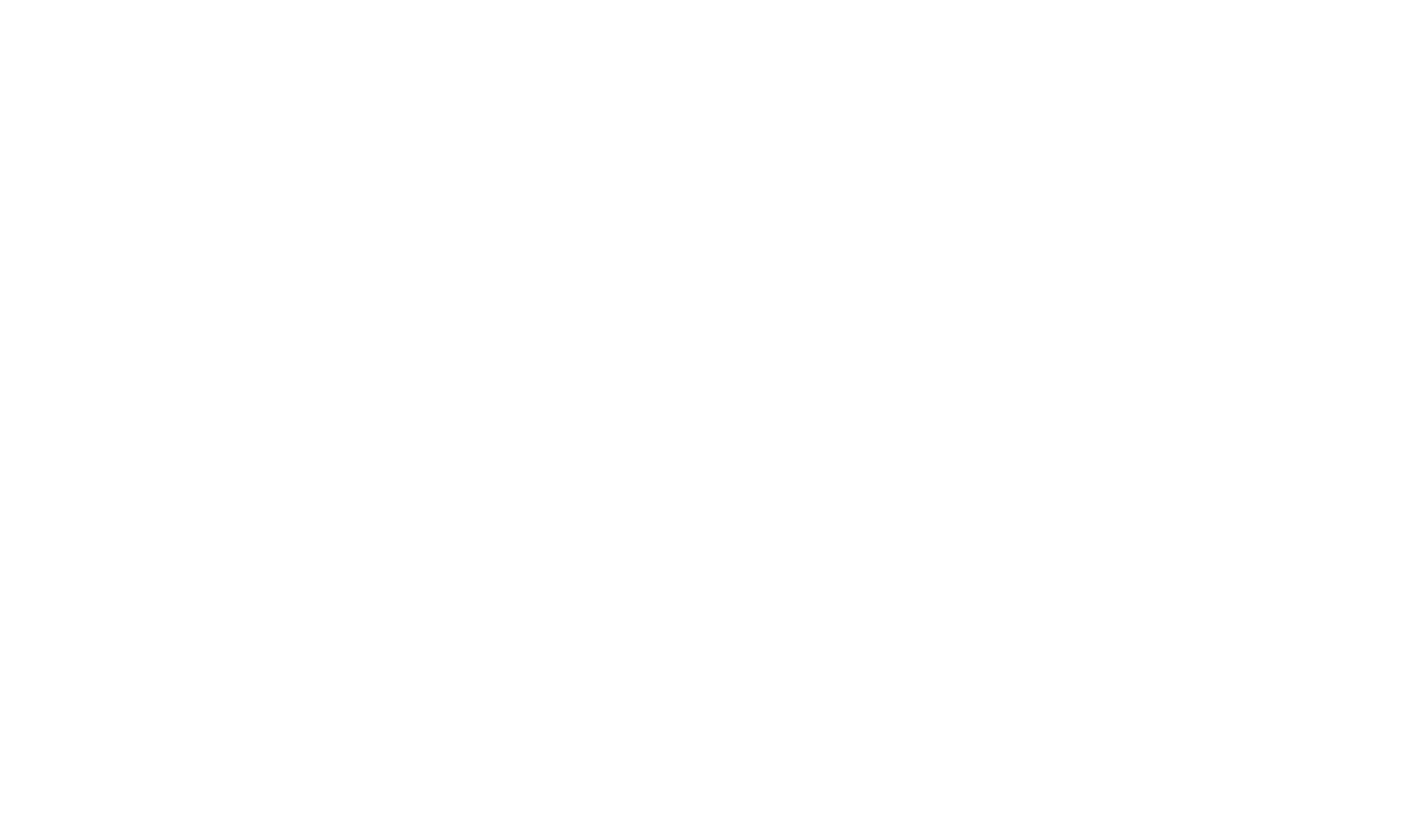 LOGO TRANS MPE DWL MUC